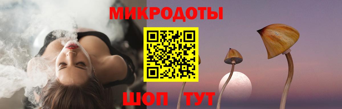 где найти   Вход с VPN  Нурлат  Галлюциногенные грибы Psilocybe 